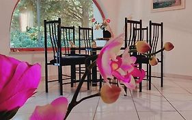 Swim And Climb Baska Holiday House - Island Krk